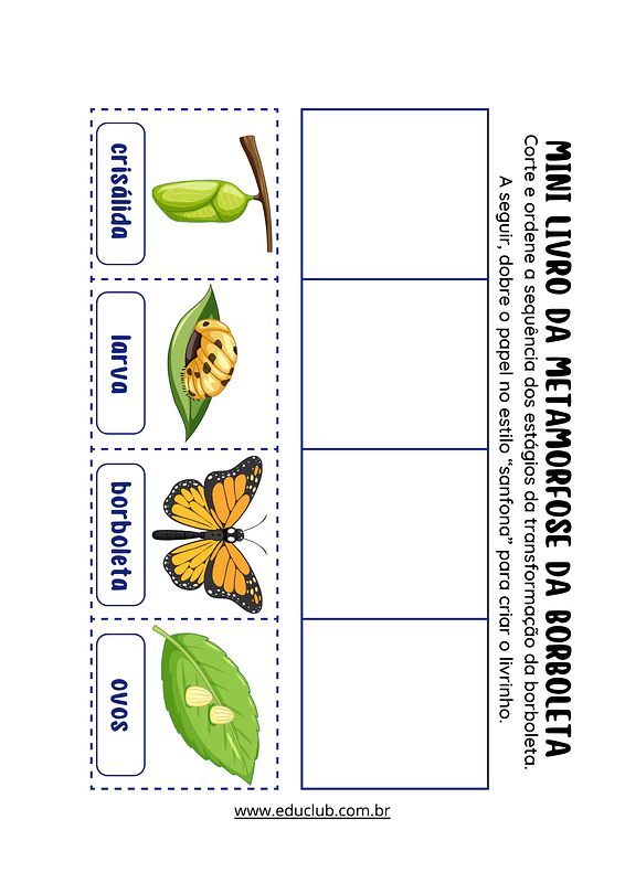 Ciclo de vida da borboleta para Educação Infantil: atividades para ...